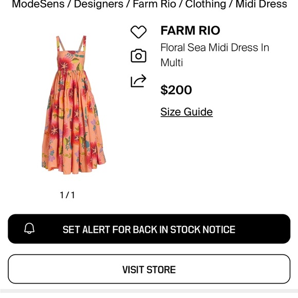 FARM Rio Colorful Floral Maxi Dress - Picture 8 of 9